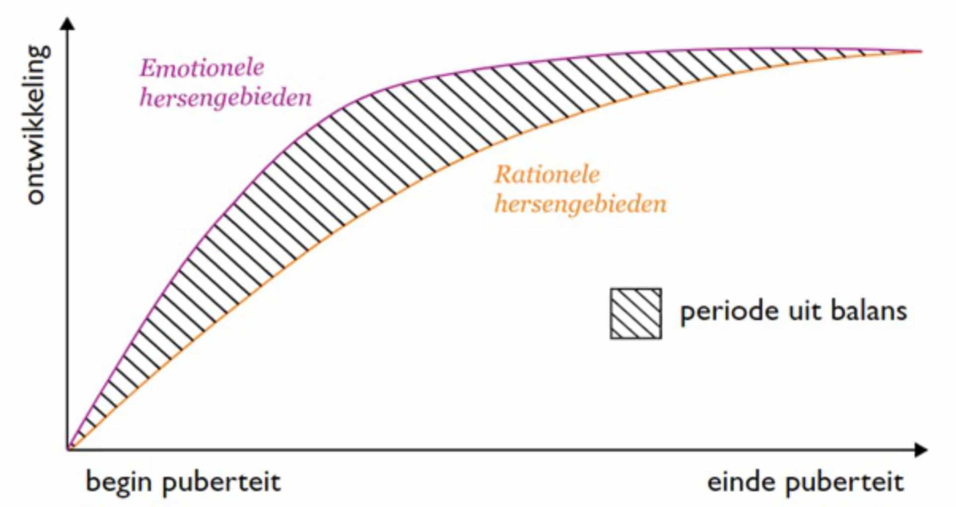 Ontwikkeling puberteit
